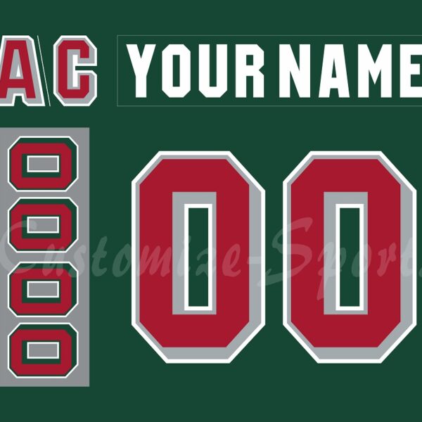 Houston Aeros Customized Number Kit for 2011-2013 Away Green Jersey