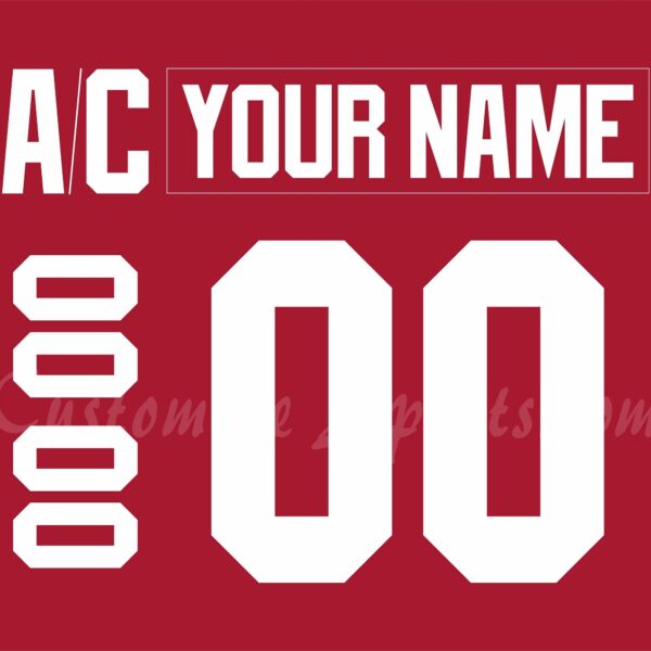 Iowa Wild Customized Number Kit for 2013-Present Practice Red Jersey