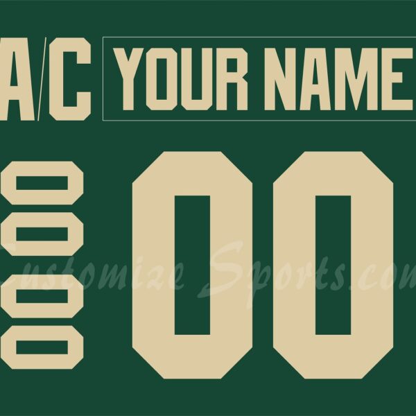 Iowa Wild Customized Number Kit for 2016-2022 Away Jersey