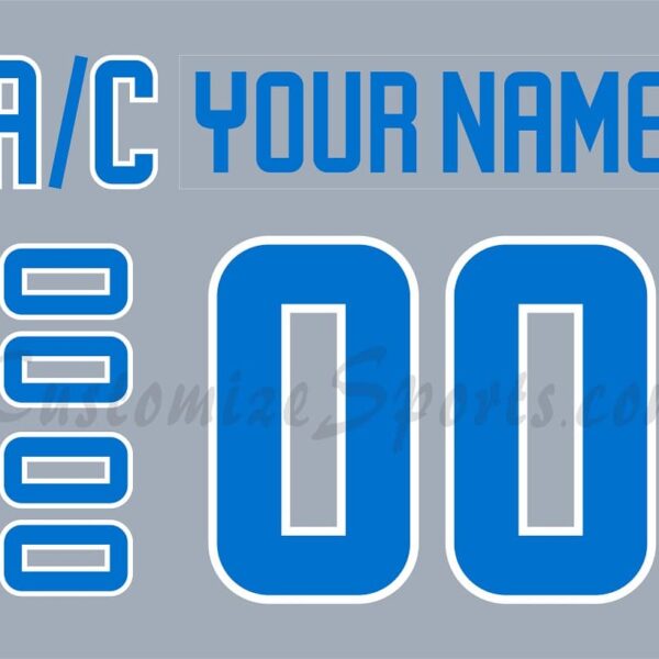 Jacksonville Icemen Customized Number Kit for 2019-2020 3rd Jersey