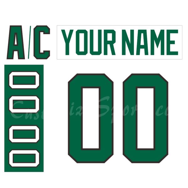 Texas Stars Customized Number Kit for 2015-Present Home White Jersey