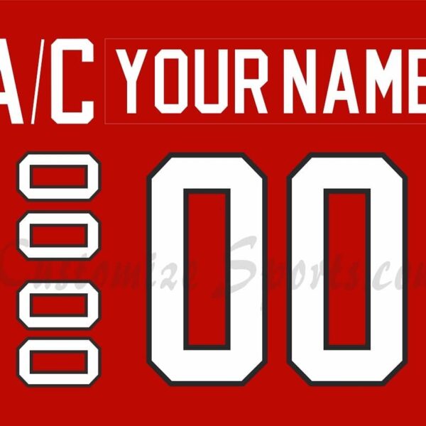 IIHF Team Canada Customized Number Kit for 2007 Red Hockey Jersey