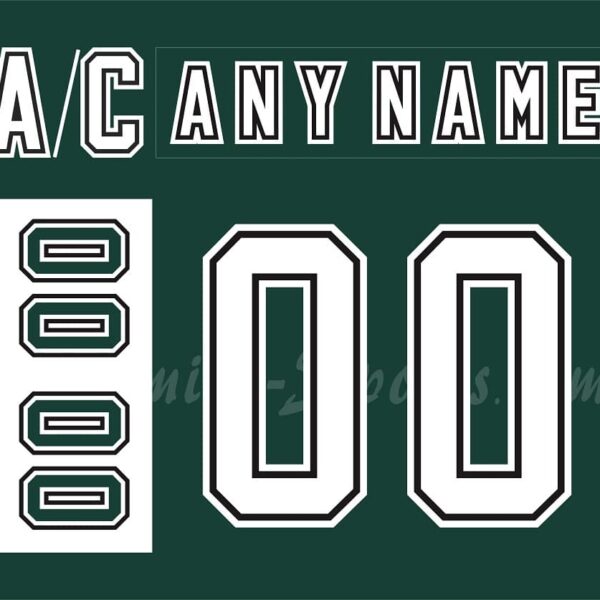 NCAA Michigan State Spartans Customized Number Kit for 2006-2007 3rd Green Hockey Jersey