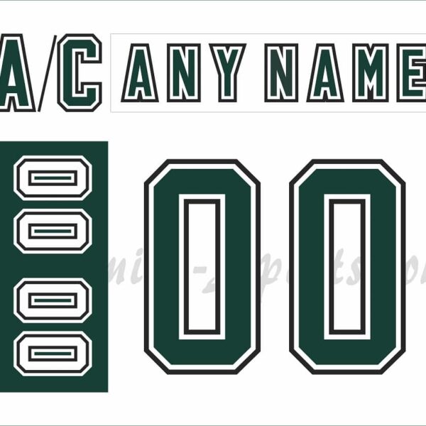 NCAA Michigan State Spartans Customized Number Kit for 2006-2007 3rd White Hockey Jersey
