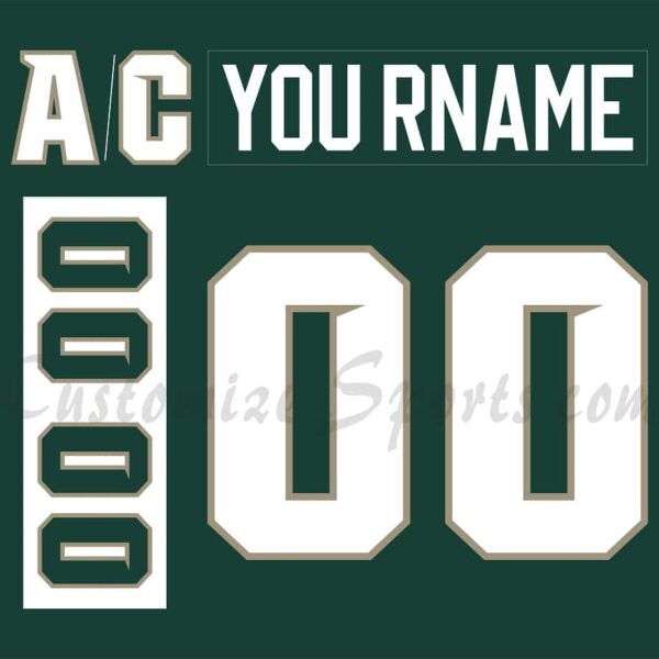 NCAA Michigan State Spartans Customized Number Kit for 2006-2007 Away Hockey Jersey