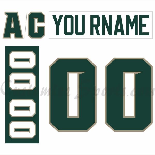 NCAA Michigan State Spartans Customized Number Kit for 2006-2007 Home Hockey Jersey