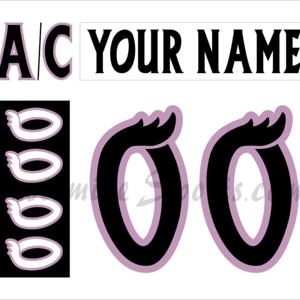 Manitoba Moose Customized Number Kit For 2022-2023 HFC Jersey