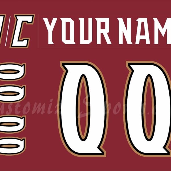 Hershey Bears Customized Number Kit for 2005-2006 Burgundy Jersey