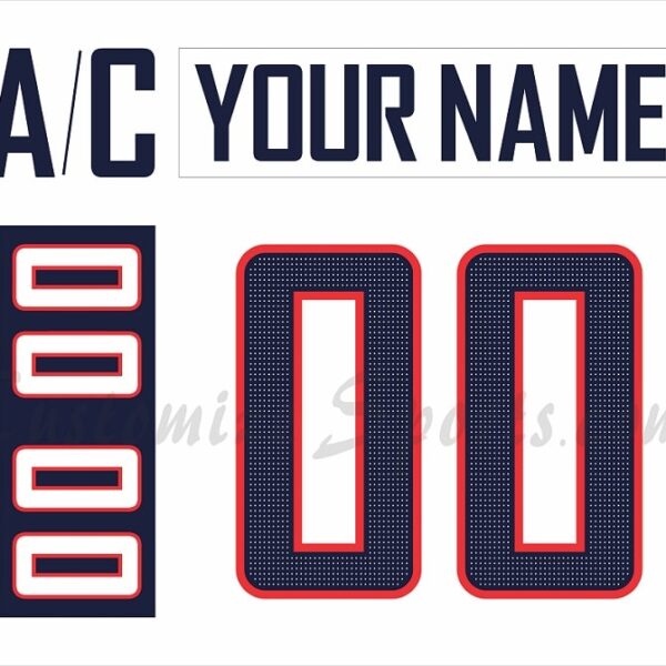 WCH Team USA Customized Number Kit for 2017 White Jersey