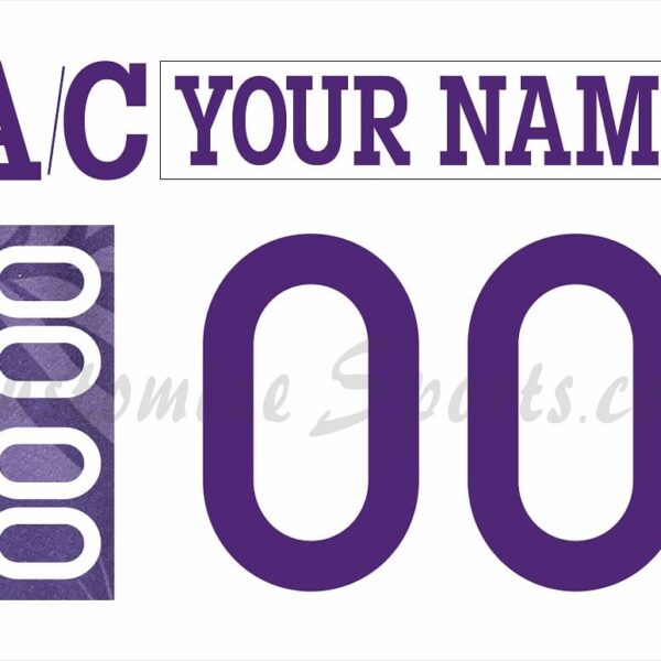 Cincinnati Cyclones Customized Number Kit for 2023 Hippo Night Jersey