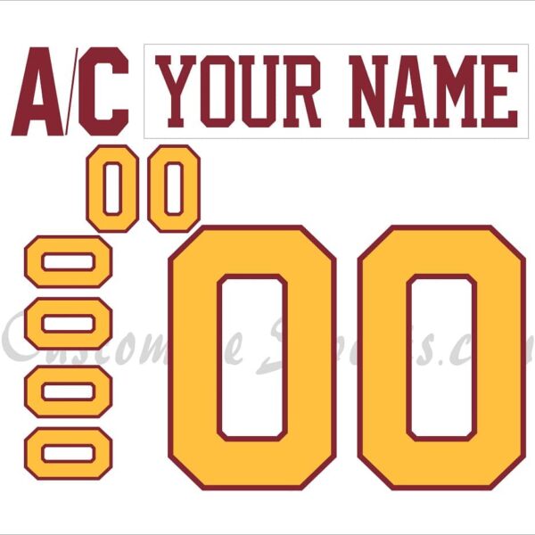 NCAA Minnesota Golden Gophers Customized Number Kit For 100th Anniversary Hockey Jersey