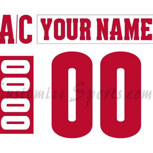 NCAA University of Wisconsin Madison Customized Number Kit for 2017-Present Home Hockey Jersey