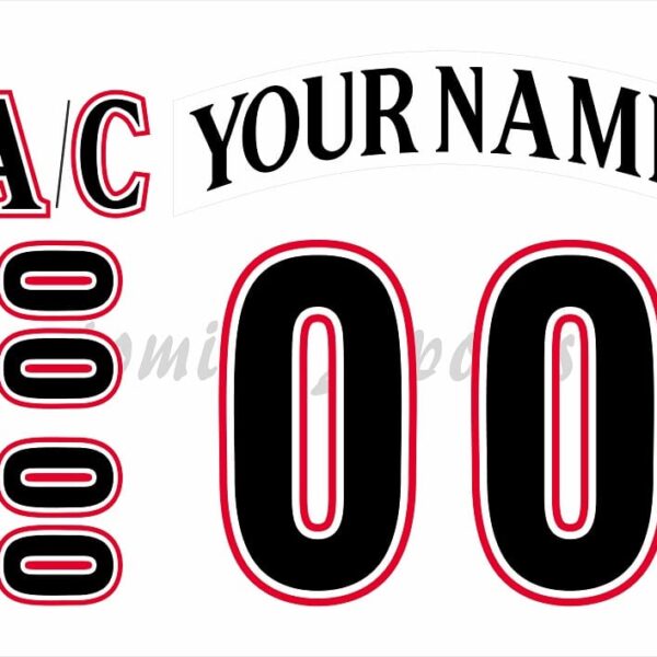 Wilkes Barre Scranton Penguins Customized Number Kit For 2001-2002 3rd Memorial Special Jersey