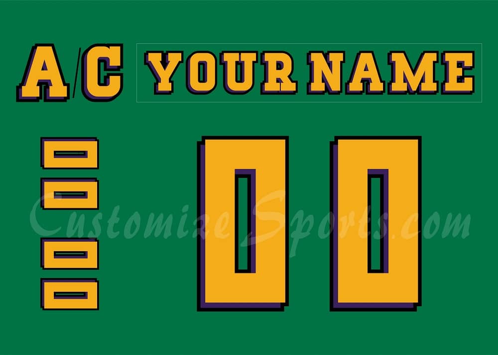 Anaheim Ducks Customized Number Kit for 30th Anniversary Movie Jersey