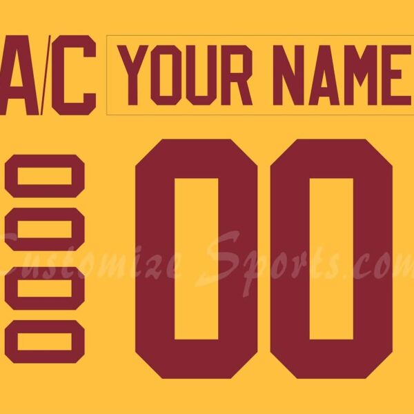 NCAA Minnesota Golden Gophers Customized Number Kit For 25th Anniversary Hockey Jersey