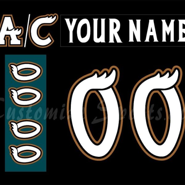 Manitoba Moose Customized Number Kit For 2007-2010 Away Jersey