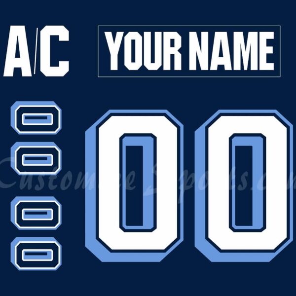 Wilkes Barre Scranton Penguins Customized Number Kit For 2004-2005 Alternate Jersey