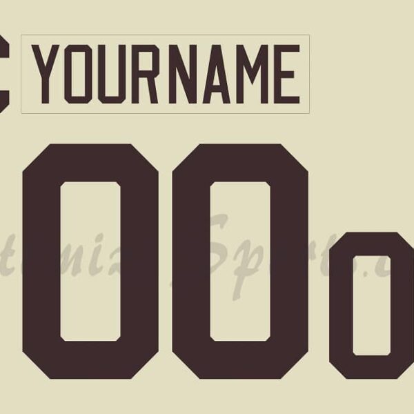 Hershey Bears Customized Number Kit for 2016-2024 3rd Jersey