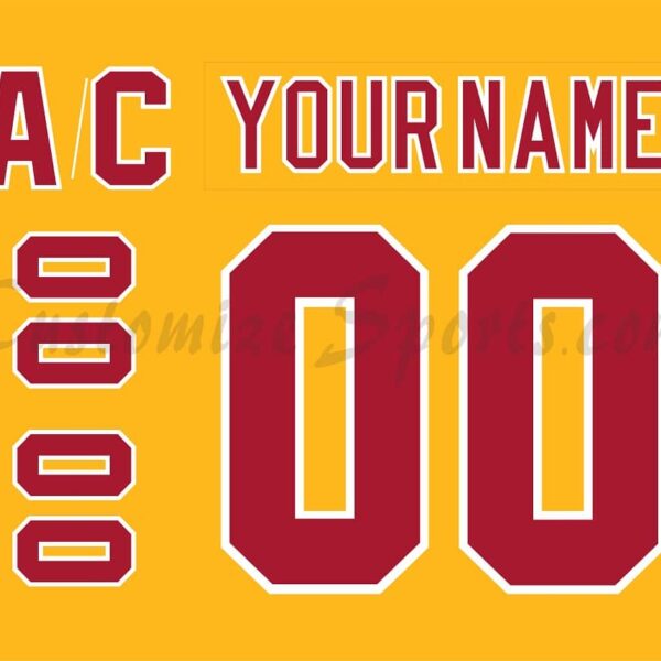 Philadelphia Blazers Customized Number Kit for 1973 Throwback jersey