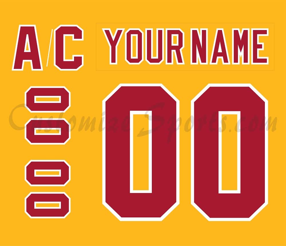 Philadelphia Blazers Customized Number Kit for 1973 Throwback jersey