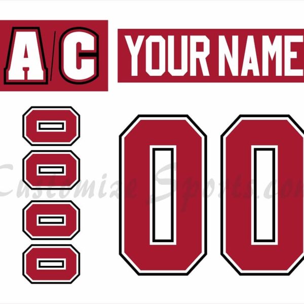 NCAA University of Wisconsin-Madison Customized Number Kit for 2007-Present 3rd Hockey Jersey