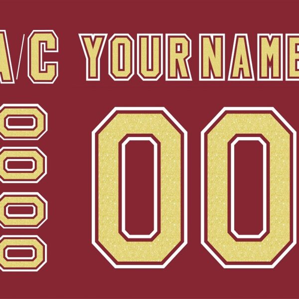 NCAA Denver Pioneers Customized Number Kit For 2004-2010 Away Hockey Jersey
