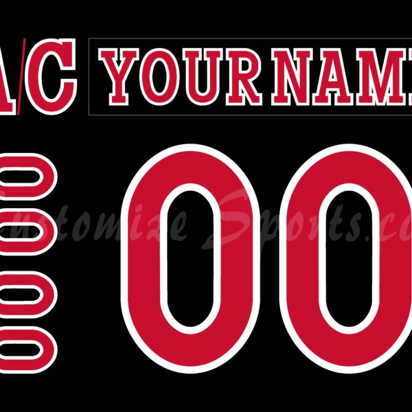 Cincinnati Cyclones Customized Number Kit for 2023-Present 3rd Jersey