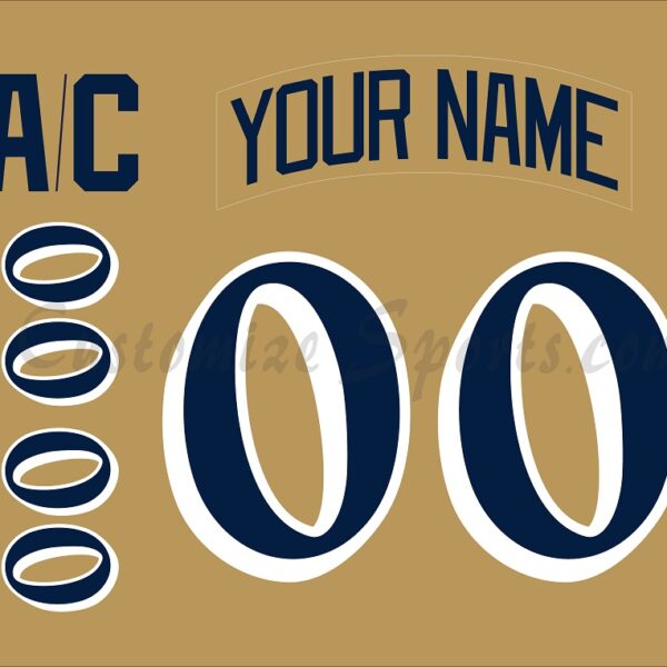 NCAA Notre Dame Customized Number Kit For 2005-2011 Fighting Irish 3rd Hockey Jersey