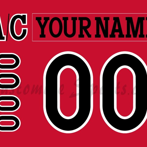 Cincinnati Cyclones Customized Number Kit for 2023 Throwback Jersey