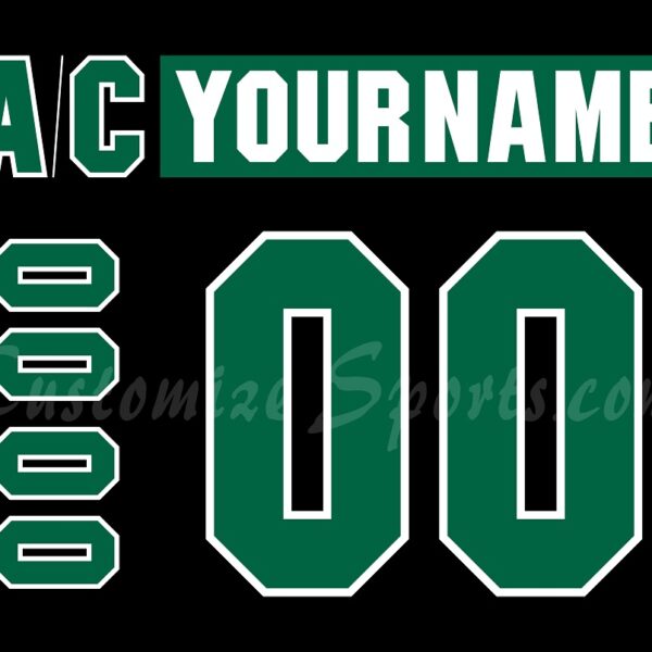 Texas Stars Customized Number Kit for 2023-2024 15th Anniversary Jersey