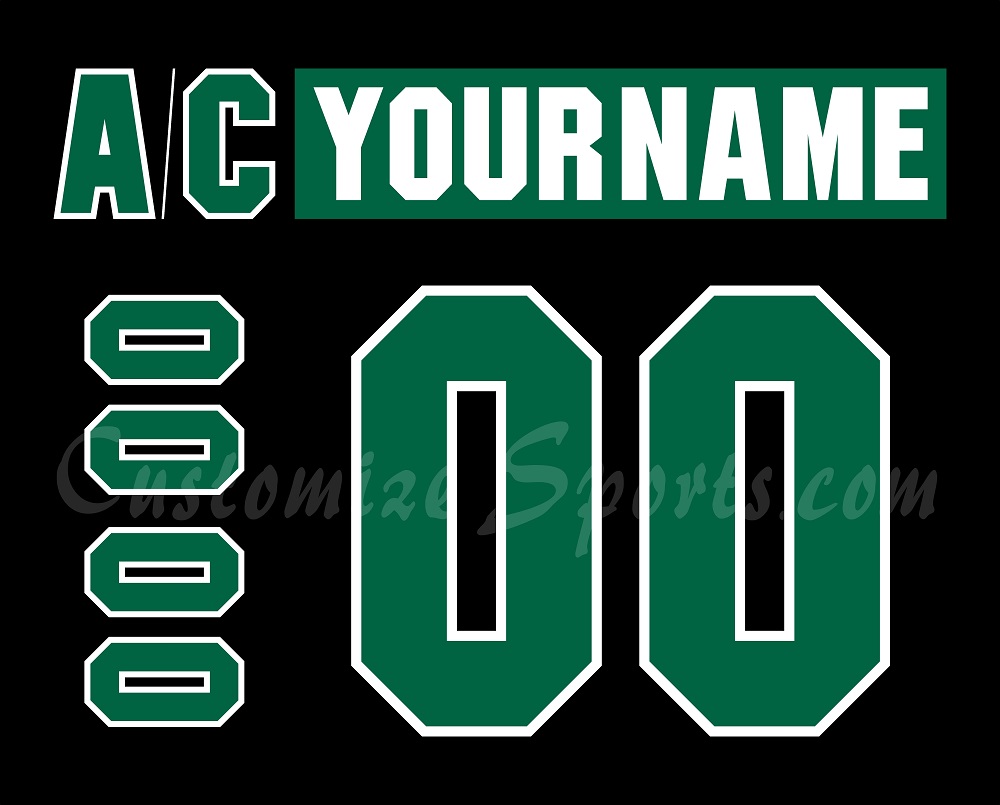 Texas Stars Customized Number Kit for 2023-2024 15th Anniversary Jersey