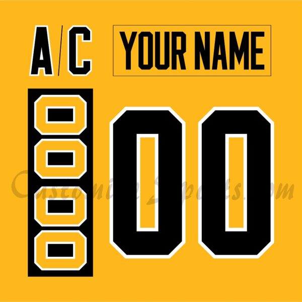 Wilkes Barre Scranton Penguins Customized Number Kit For 2016-2020 3rd Jersey