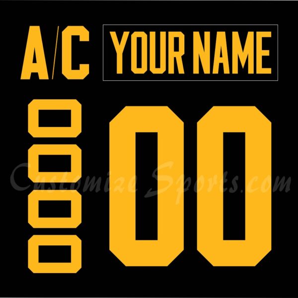 Wilkes Barre Scranton Penguins Customized Number Kit For 2020-2022 3rd Jersey