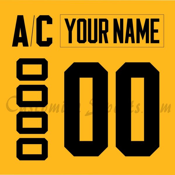 Wilkes Barre Scranton Penguins Customized Number Kit For 2022-Present 3rd Jersey