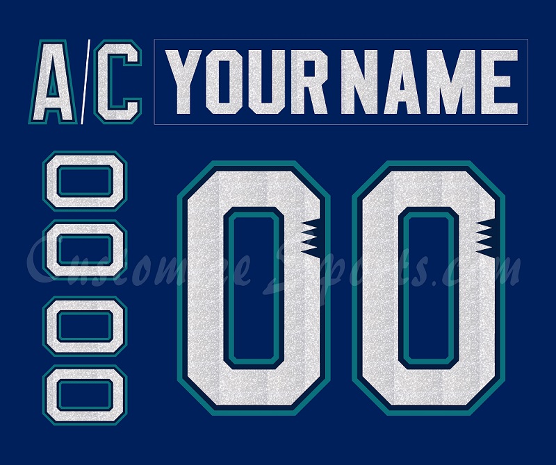 Worcester IceCats Customized Number Kit for 2000-2001 Away Jersey