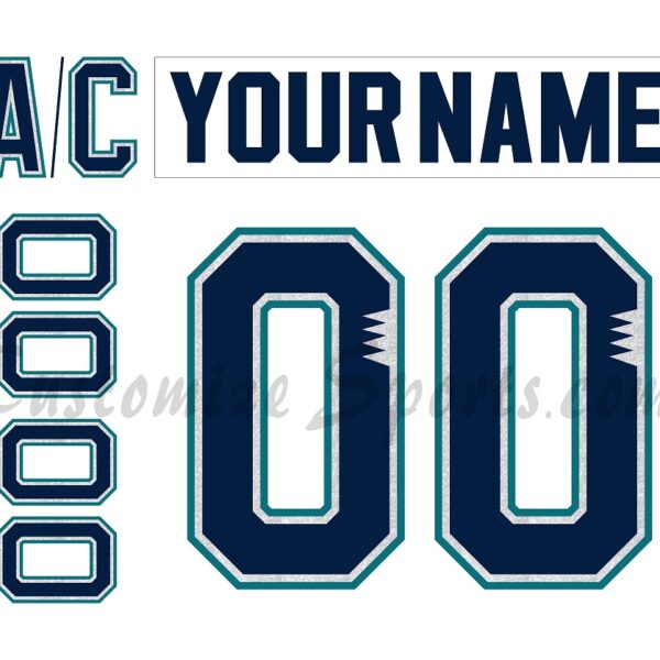 Worcester IceCats Customized Number Kit for 2000-2001 Home Jersey