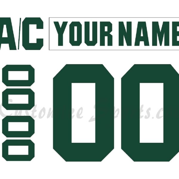 Iowa Wild Customized Number Kit for 2013-2015 Home Jersey