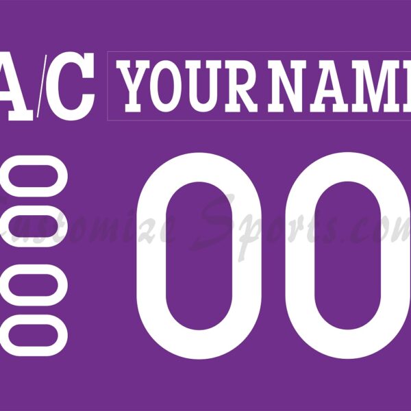 Cincinnati Cyclones Customized Number Kit for 2024 HFC Jersey