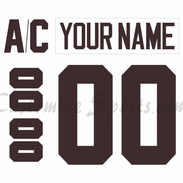 Hershey Bears Customized Number Kit for 1980 Throwback Jersey