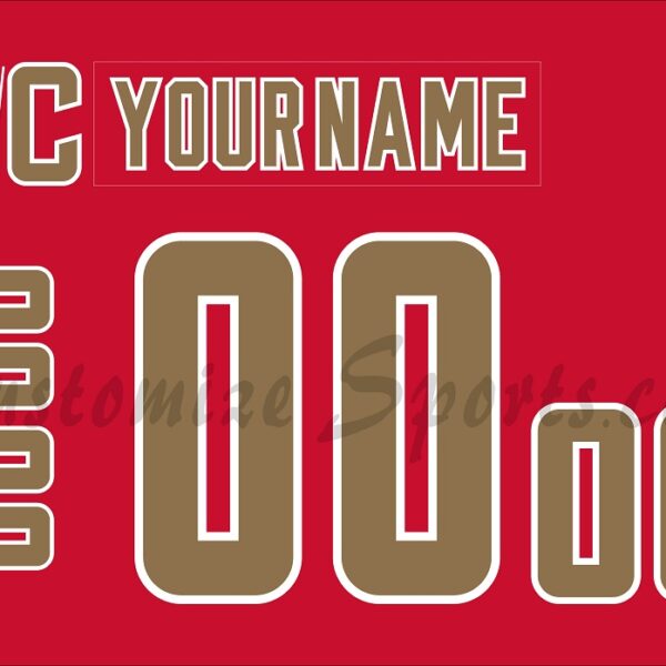 NCAA Denver Pioneers Customized Number Kit For 2023-present Away Hockey Jersey