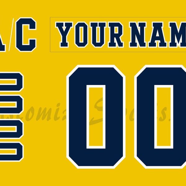 NCAA Michigan Wolverines Customized Number Kit 2018-2019 3rd Hockey Jersey