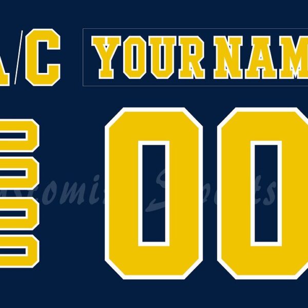 NCAA Michigan Wolverines Customized Number Kit 2018-2019 Away Hockey Jersey