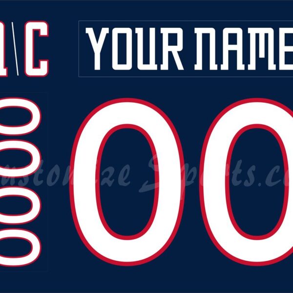 Springfield Falcons Customized Number Kit For 2012-2013 Away Jersey