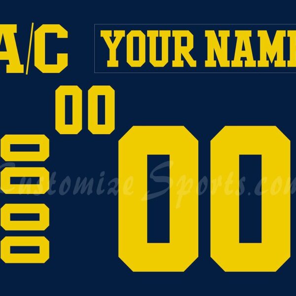 NCAA Michigan Wolverines Customized Number Kit 2016-2017 Blue Hockey Jersey