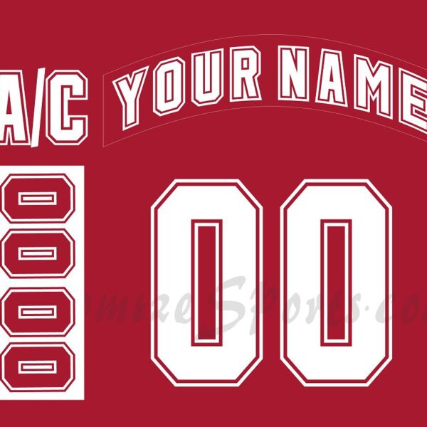 NCAA University of Wisconsin-Madison Customized Number Kit for 2004-2006 Away Hockey Jersey