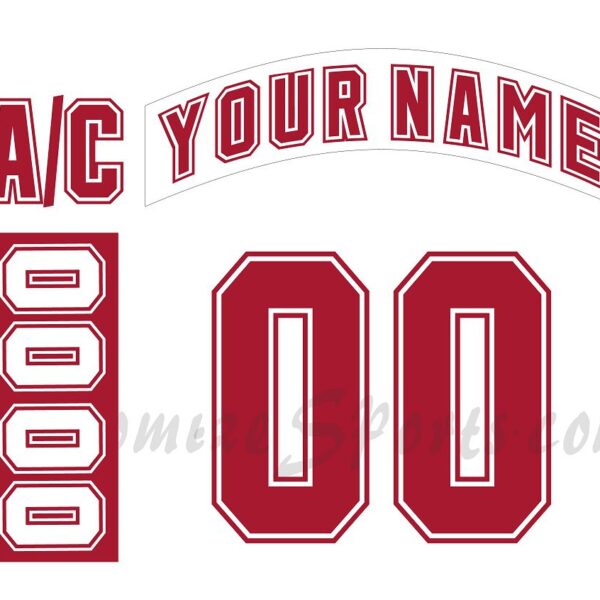 NCAA University of Wisconsin-Madison Customized Number Kit for 2004-2006 Home Hockey Jersey