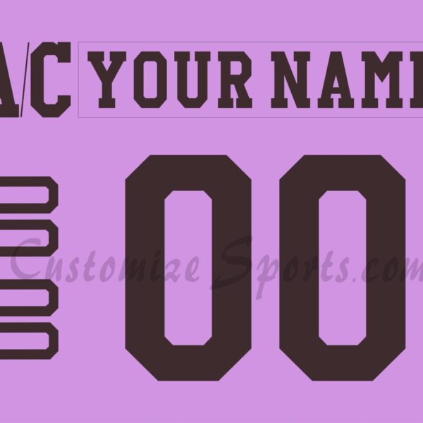 Hershey Bears Customized Number Kit for 2022-2024 HFC Jersey