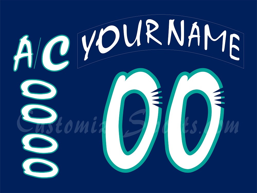 Worcester IceCats Customized Number Kit for 1995-1999 Away Jersey