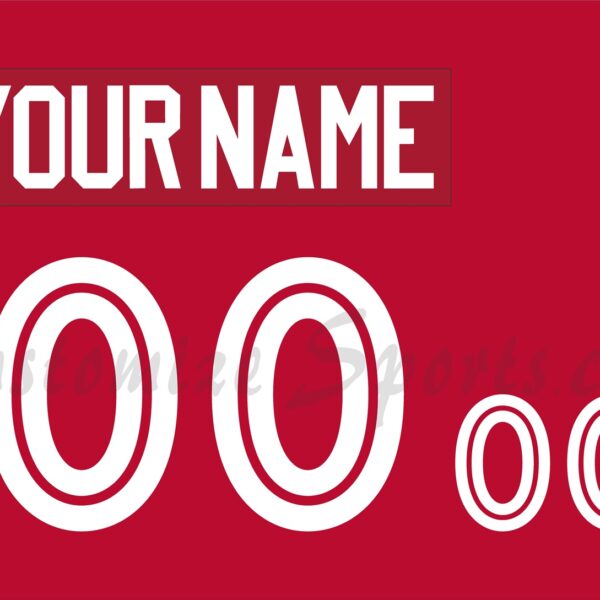 Baseball Buffalo Bisons Customized Number Kit for 2013-Present Red Jersey