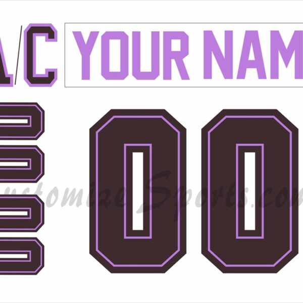 Hershey Bears Customized Number Kit for 2024-2025 HFC Jersey